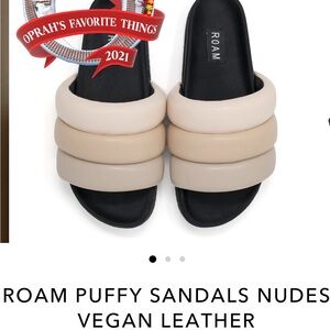 Roam puffy slides